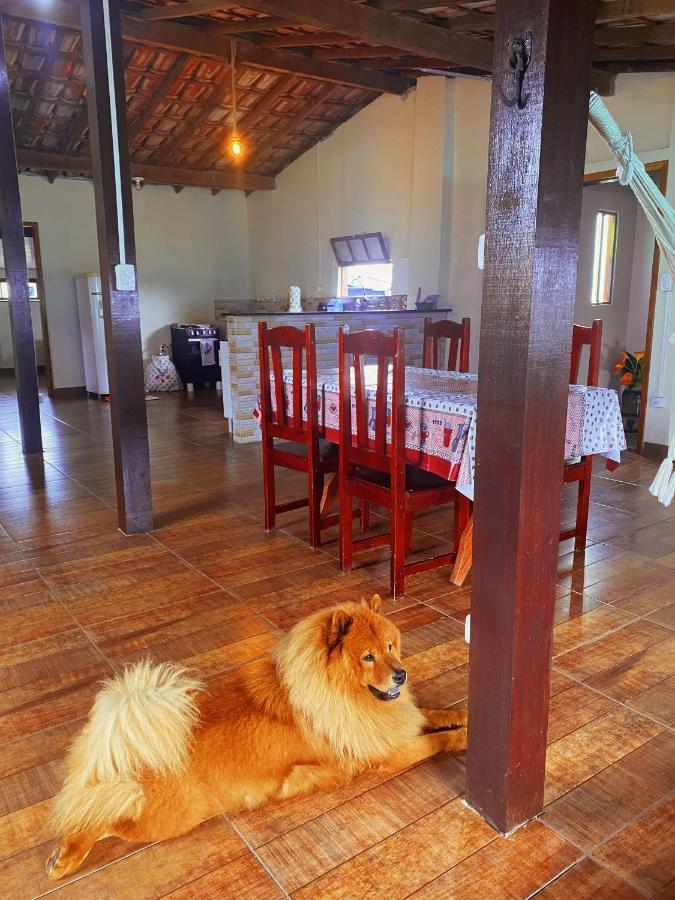Apartamento Rustico Lägenhet Cabo Frio Exteriör bild