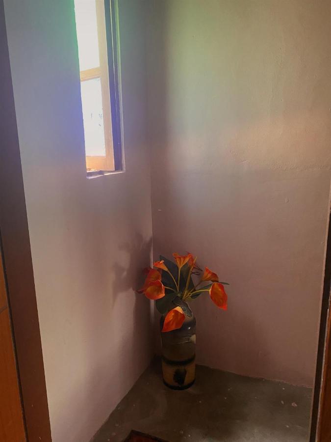 Apartamento Rustico Lägenhet Cabo Frio Exteriör bild